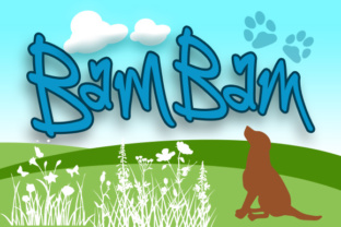 BamBam: A Script Amp for Real Projects