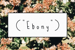 Ebony: A Font That Speaks Simply