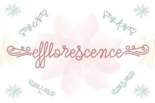 Efflorescence: A Script Font for Creative Web Design