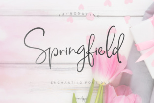 Springfield: A Cute Font for Clear Campaigns