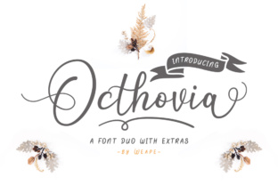 Upgrade Your Brand with Octhovia Duo
